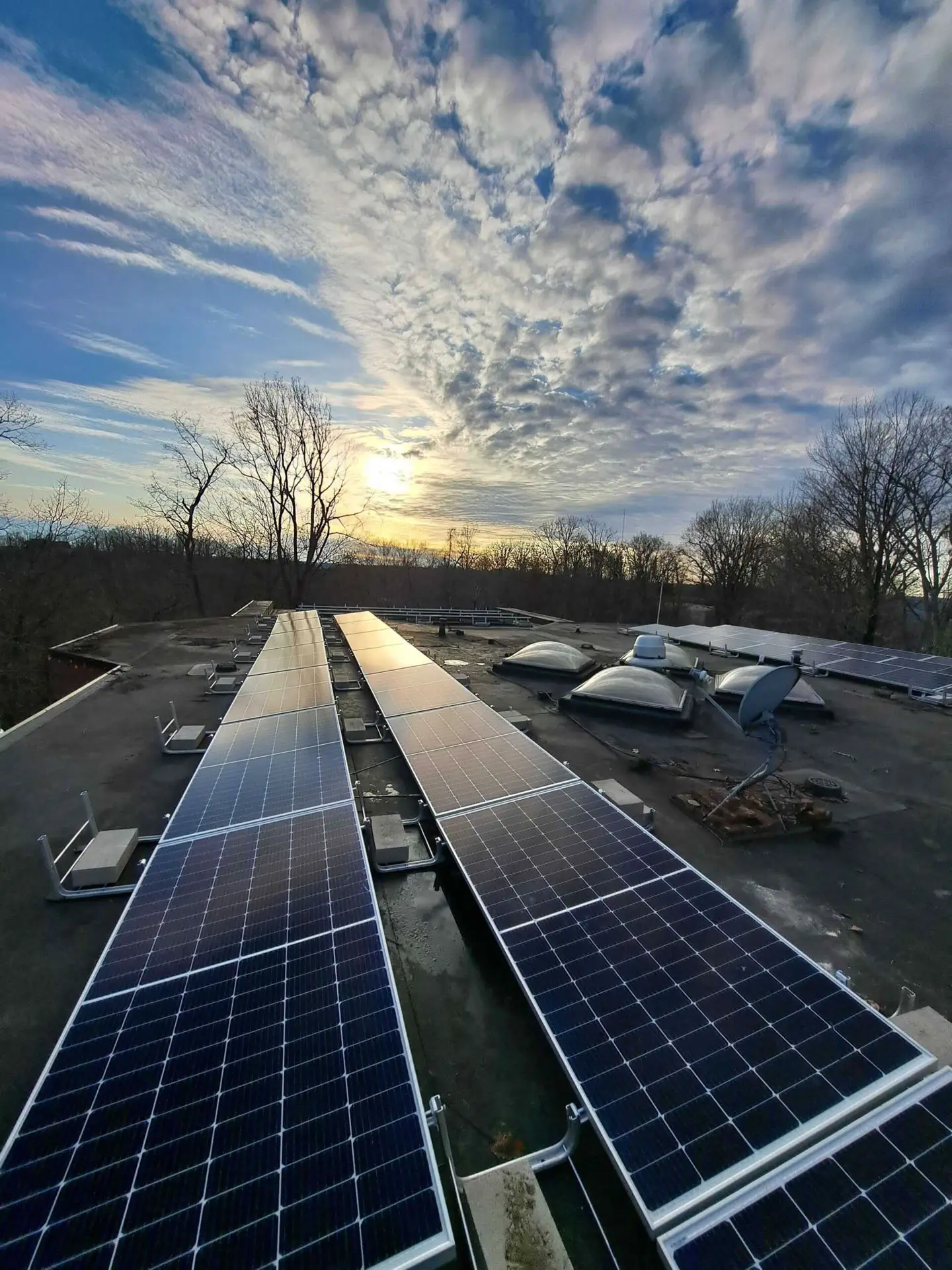 Solar For Business by Revolt Energy